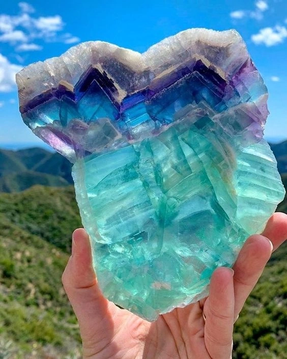 Клуб Волшебников - Академия Волшебства